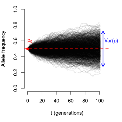 ptraj